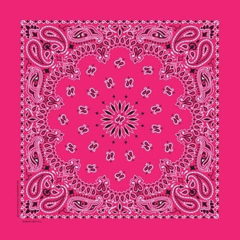 NT4413 Bandana Paisley Hot Pink