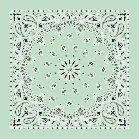NT4414 Bandana Paisley Mint