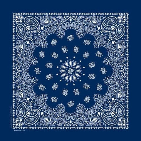 NT4402 Bandana Paisley Navy