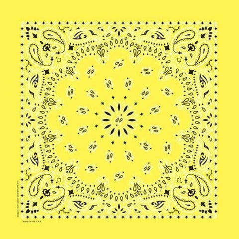 NT4403 Bandana Paisley Yellow