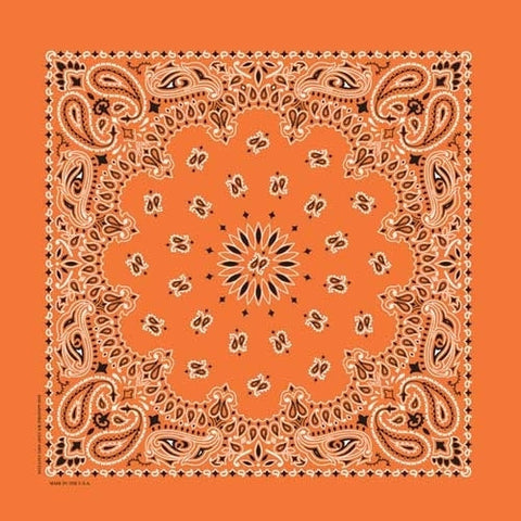 NT4404 Bandana Paisley Orange