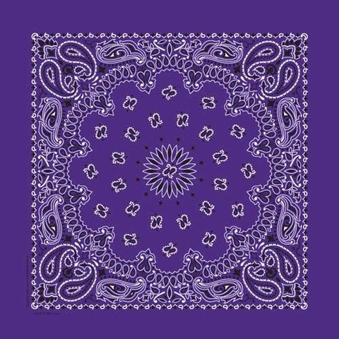 NT4406 Bandana Paisley Purple