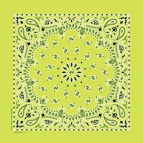 NT4410 Bandana Paisley Lime