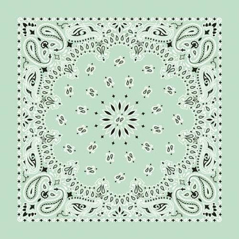 NT4414 Bandana Paisley Mint