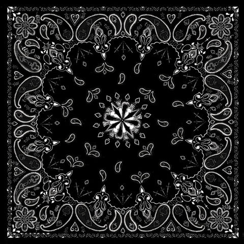 B001- Bandanna Black Paisley