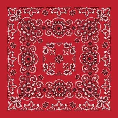 BD2507 Bandana Texas Paisley Red [27" x27"]