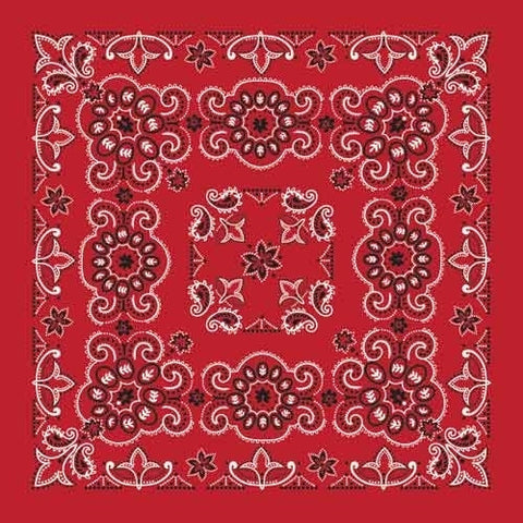 BD2507 Bandana Texas Paisley Red [27" x27"]